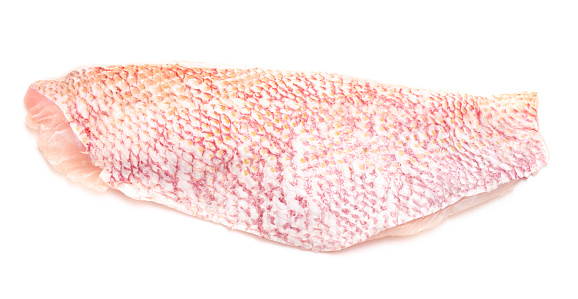 Side of Red Snapper Isolated on a White Background