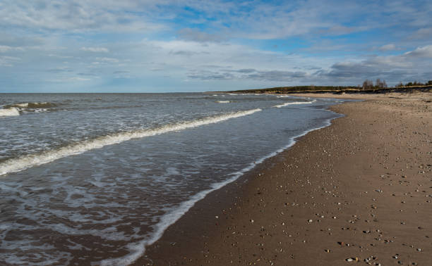 istock Baltic sea coastline. 1147578303