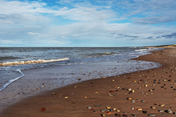 istock Baltic sea coastline. 1147578632