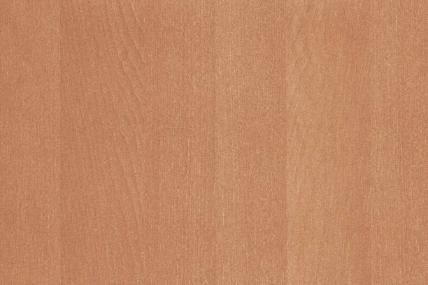 istock vintage orange tree timber wood texture wallpaper background  backdrop 1147578898