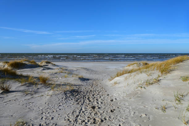 istock Sandy beach of a Baltic sea. 1147579413