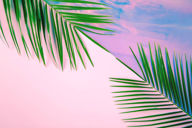 istock Green palm leaves on pastel colored holographic background 1147580405