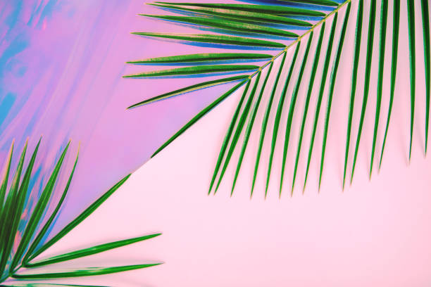 istock Green palm leaves on pastel colored holographic background 1147580406