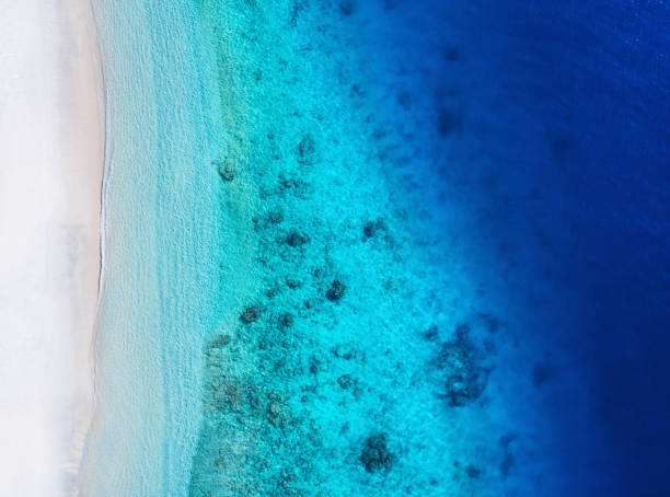istock Coast as a background from top view. Turquoise water background from top view. Summer seascape from air. Summer - background 1147583721