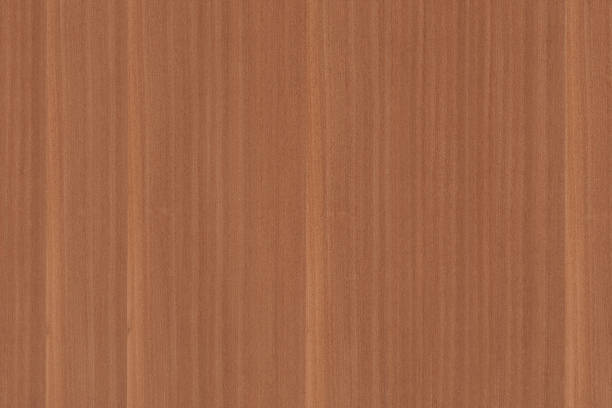 istock vintage orange tree timber wood texture wallpaper background  backdrop 1147585370