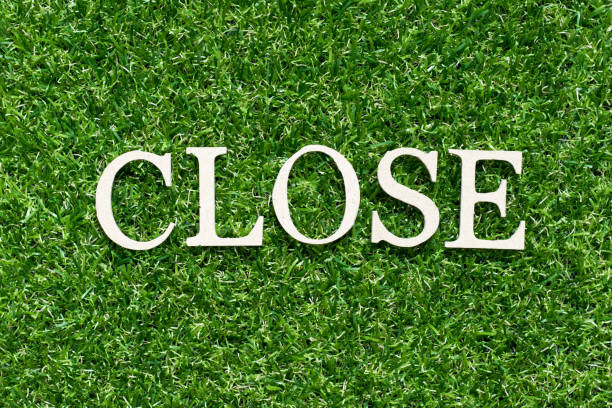 istock Wood alphabet letter in word close on artificial green grass background 1147586559