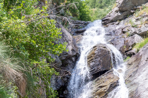 Little waterfall in a wood in the Alps in summer Mount Rose, Monte Rosa in Italian, is the second highest mountain in the Alps. Its name derives from the fact that the south side glaciers are tinged with pink during the last hours of the day in any season. roberto alagna stock pictures, royalty-free photos & images