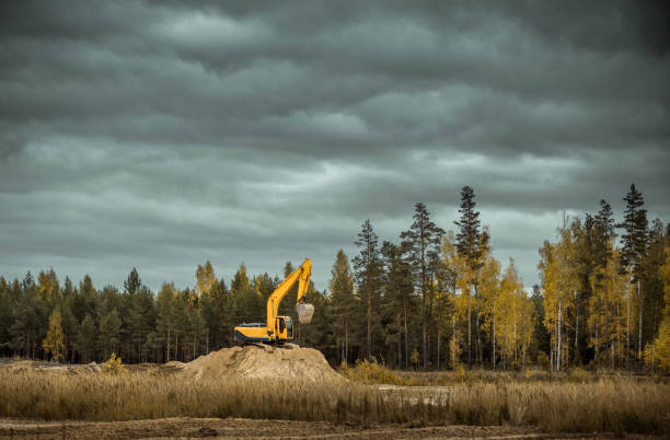 A yellow excavator on top of a sandy hill at empty place in front of the forest. Excavator cleared the area from the burnt forest and are now standing idle. Shooting at cloudy autumn day