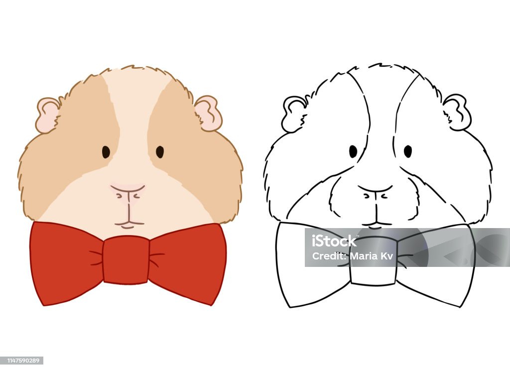 Cute guinea pig cartoon character icon isolated on white. South America fauna wild animal. Vector illustration of funny orange guinea pig with red bow, animal concept. Cute guinea pig cartoon character icon isolated on white. South America fauna wild animal. Vector illustration of funny orange cavy with red bow, animal concept. Animal sketch by free hand. Abstract stock vector