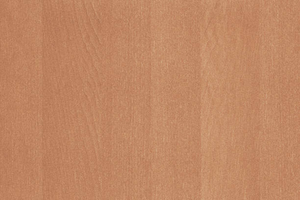 istock vintage orange tree timber wood texture wallpaper background  backdrop 1147591373