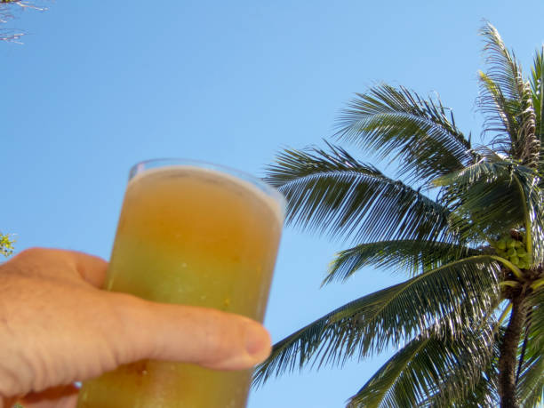 glas bier gegen tropischen himmel - palm leaf flash stock-fotos und bilder