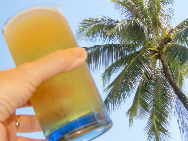 glass of beer against a tropical sky - palm leaf flash imagens e fotografias de stock