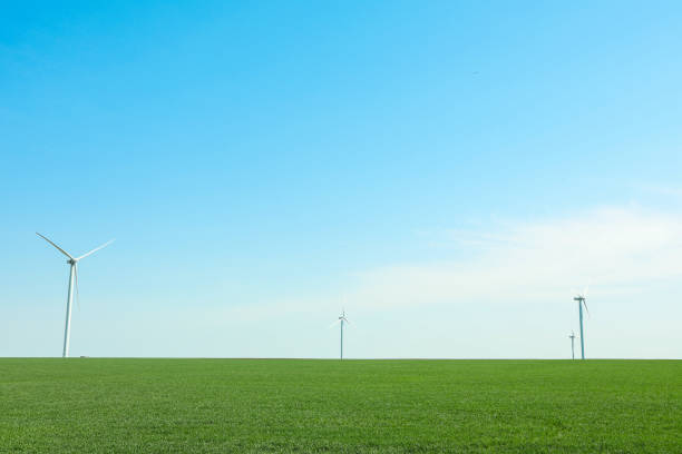 istock Wind turbines in a green grass field, space for text. Beautiful spring greenery 1147597499