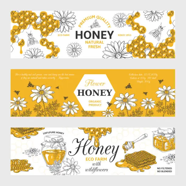 Vector illustration of Honey labels. Honeycomb and bees vintage sketch background, hand drawn organic food retro design. Vector honey graphic banners