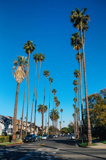 istock Streets in Los Angeles, California 1147600280