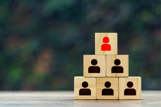 istock Leaders can be women concepts. 1147601077