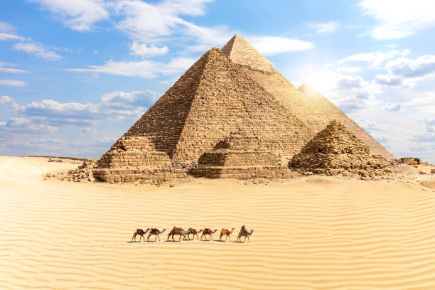 기자의 위대한 피라미드와 사막에서 낙 타의 기차, 이집트 - africa archaeology architecture bedouin 뉴스 사진 이미지
