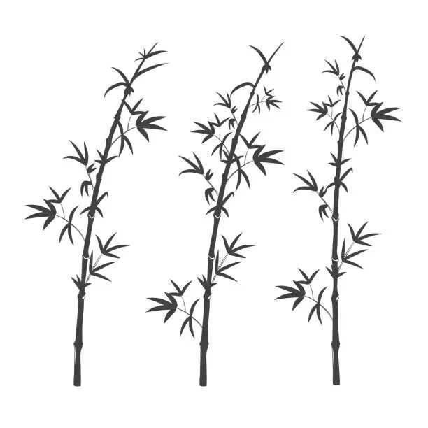 Vector illustration of set of black silhouette of a bamboo stalk with leaves. isolated on white background