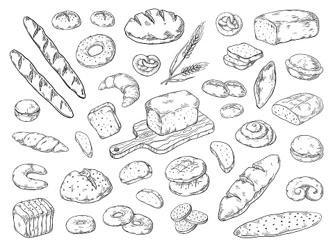 Hand drawn bakery. Doodle bread sketch, wheat flour types of bread, vintage graphic template baking. Vector bakery bagels and cookies
