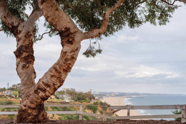 istock Coastal view of Santa  Monic 1147610887