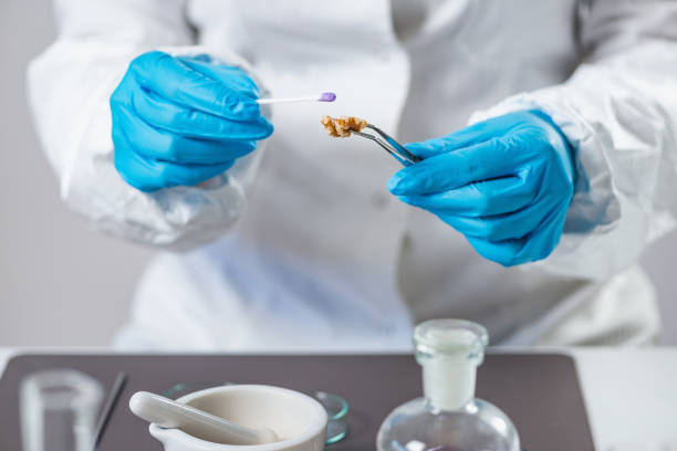 istock Microbiologist analyzing quality of fruits 1147612418