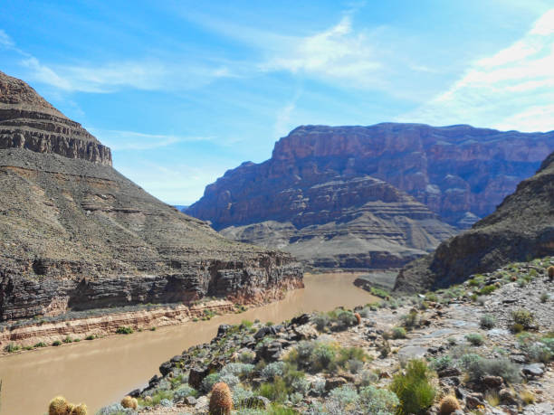istock a river in the grand canyon 1147613097