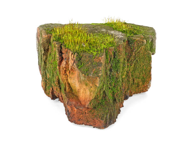 istock Old red building brick with green moss and grass isolated on a white background 1147613424