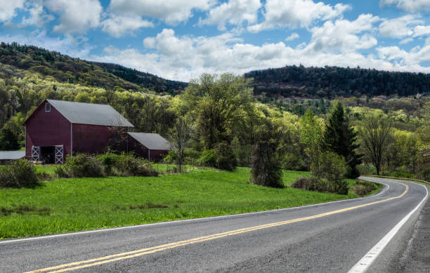 Scenic Drive in New York