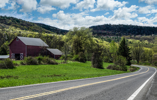 Spring colors begin to show along a country road in the Catskill Mountains of southeastern New York.