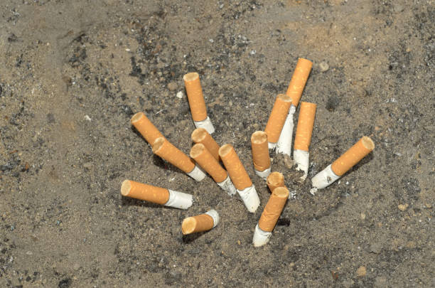 istock the selected focus of cigarette butts 1147617358