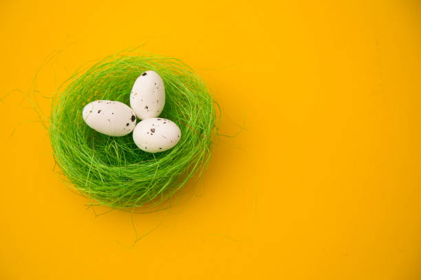 istock Happy Easter holiday greeting banner. 1147620905