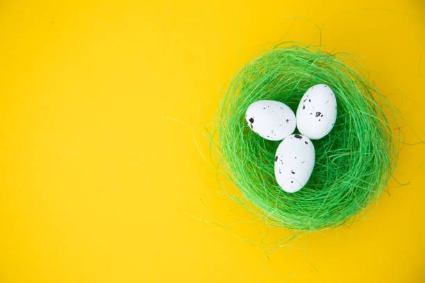 istock Happy Easter holiday greeting banner. 1147620923