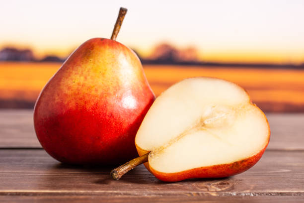 istock Fresh red pear with autumn field behind 1147622497