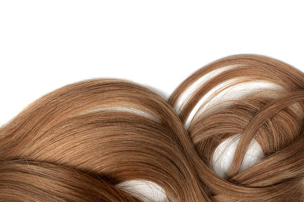 istock Natural wavy brown hair on white background 1147624227