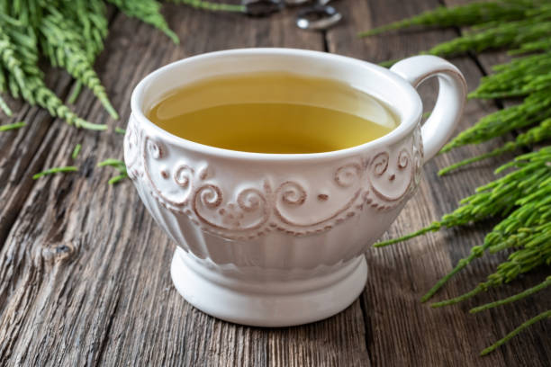 istock A cup of horsetail tea with fresh horsetail 1147625439