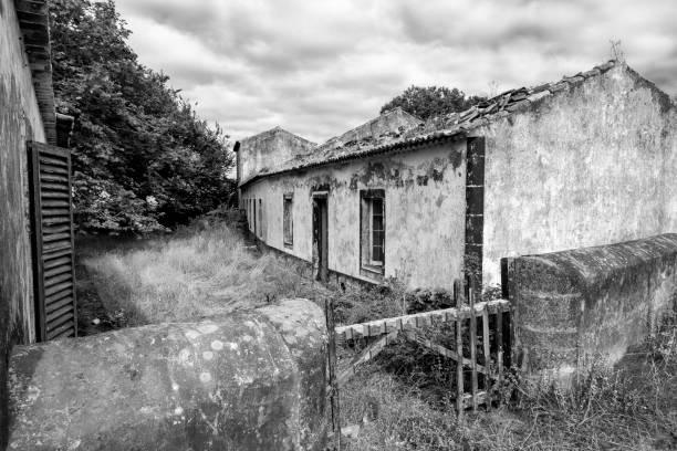 istock Black and White Rural Azores 1147625627