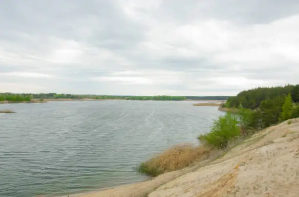 Photo of Pine forest near the lake. Quarry with a lake with a fir forest