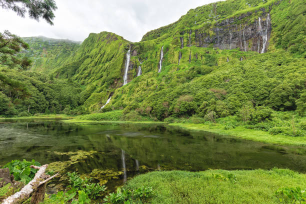 istock Flores Island Waterfalls 1147627118
