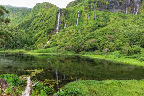 istock Wall of Waterfalls 1147627133