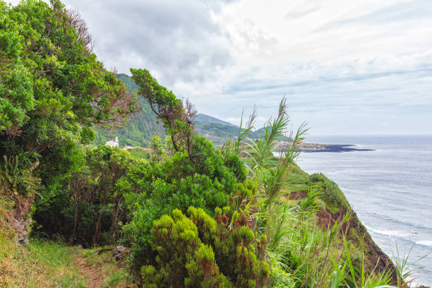 istock Green hiking trail 1147627266
