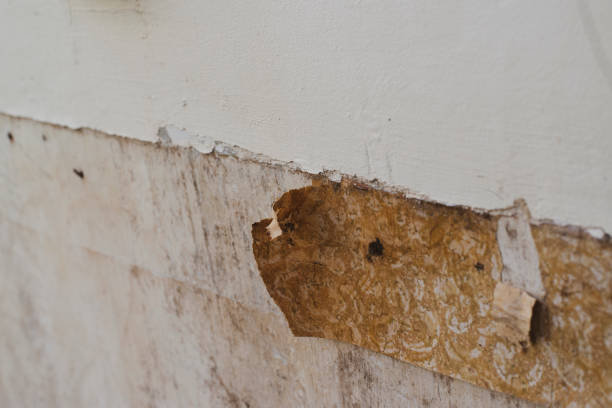 istock Traces of old building in decay 1147631650