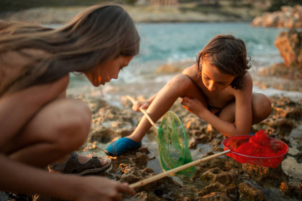 istock Children exploring rocks on the beach 1147632039