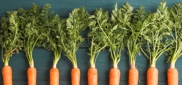 istock Ripe carrots on wooden background, space for text 1147632781