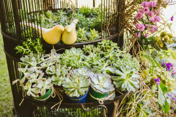 istock Wedding decoration with bird cage and succulent plants 1147635804
