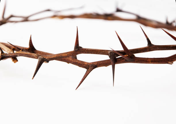 istock Crown of thorns isolated on white background, copy space (religion, Christianity, faith concept) 1147636102