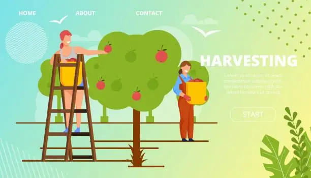 Vector illustration of Harvesting Horticultural Crops, Landing Page.