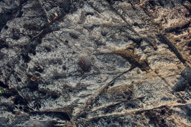 istock Details of sand stone texture 1147662463