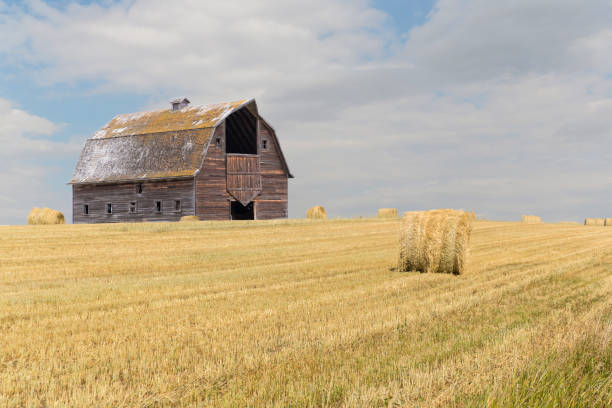 istock old barn in hay field 1147665064