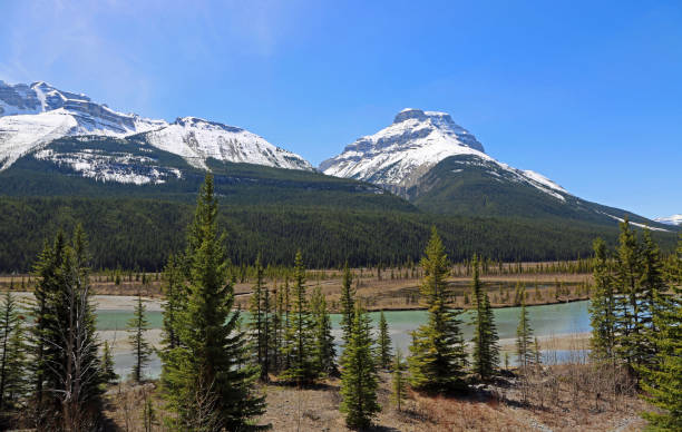 istock Landscape with Mt Amery 1147667960