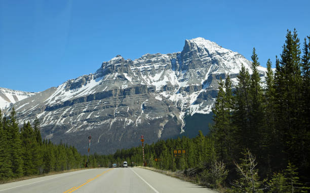 istock The road and Mount Murchison 1147669400